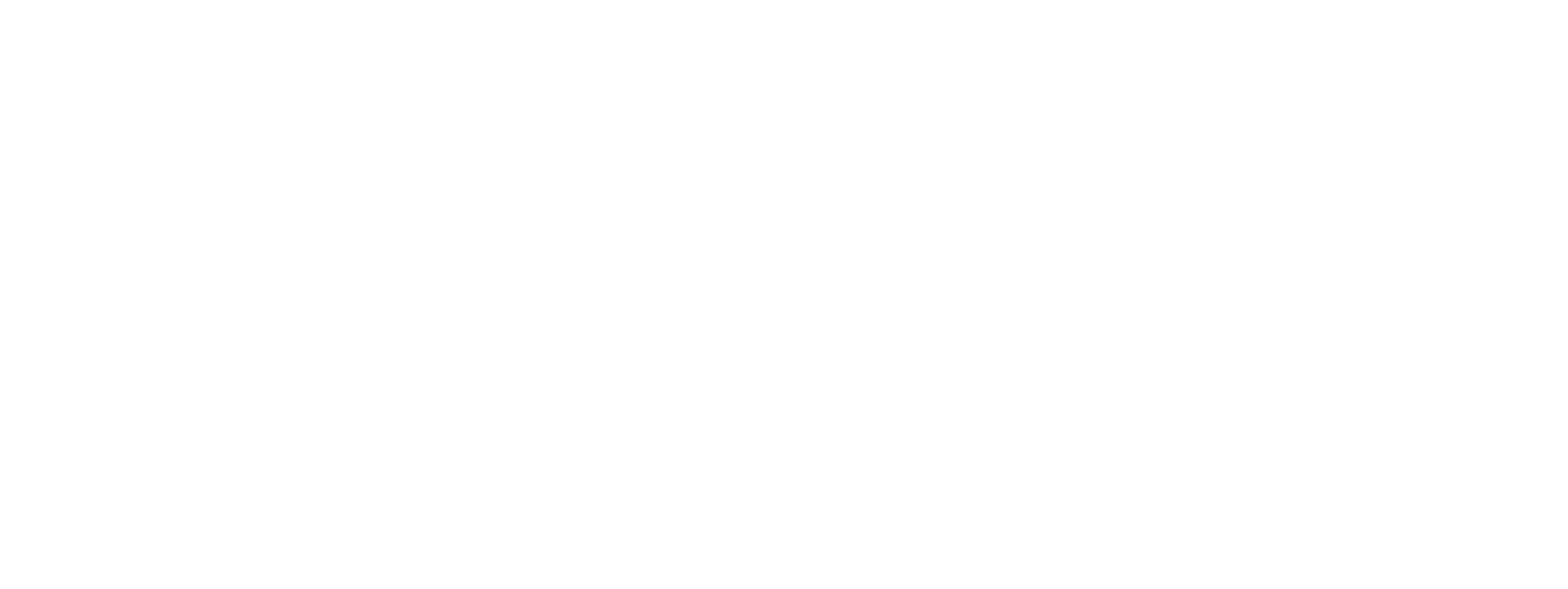 Aula Virtual Grupo Shinè